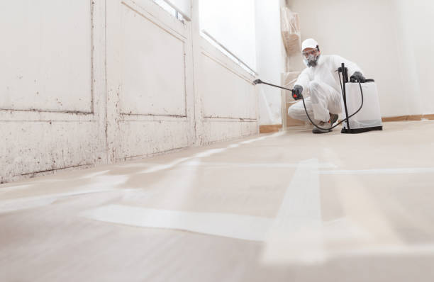 24/7 Emergency Attic Mold Remediation experts in Salisbury, MD